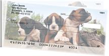 Boxer Puppies Side Tear