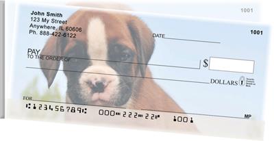 Boxer Puppies Side Tear