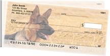 Alert German Shepherds Side Tear