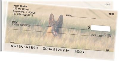 Alert German Shepherds Side Tear