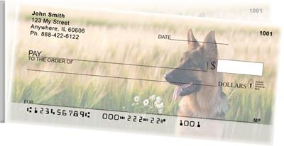 Alert German Shepherds Side Tear