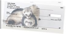 Silly Ferrets Side Tear