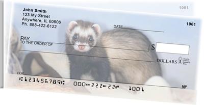 Silly Ferrets Side Tear
