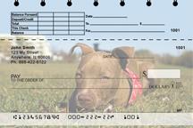 Pitbull Puppies Top Stub
