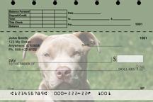Pit Bulls Top Stub