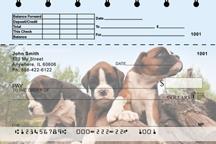 Boxer Puppies Top Stub